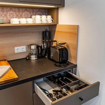 Elisa 公寓式酒店 萨尔茨堡